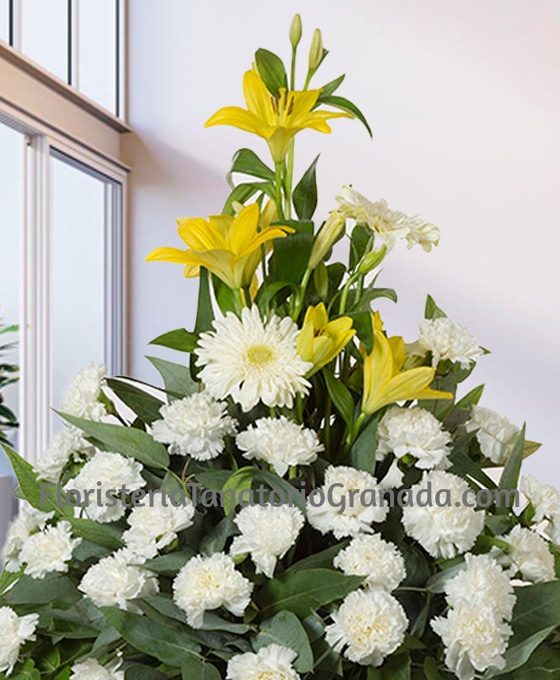 Enviar Flores para Funeral