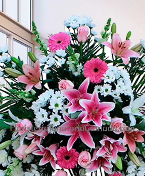 Flores fúnebres rosas